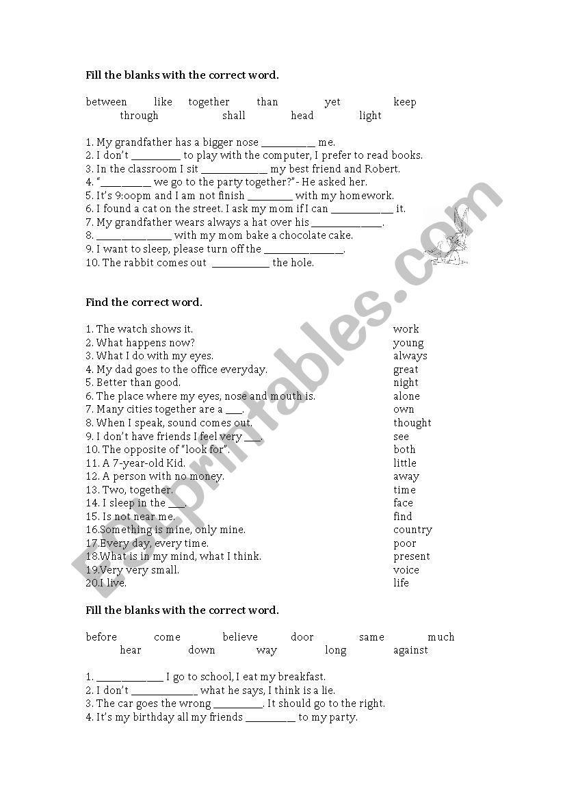 Vocabulary exercises worksheet