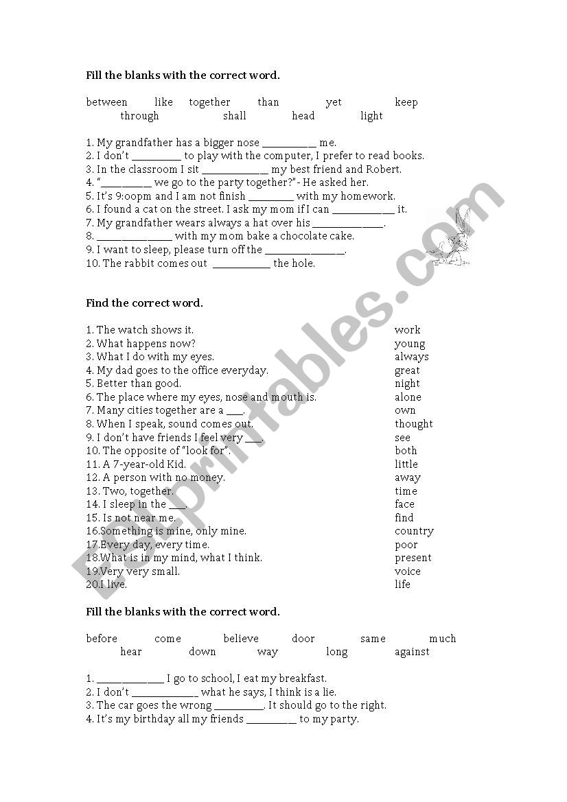 Vocabulary exercises worksheet