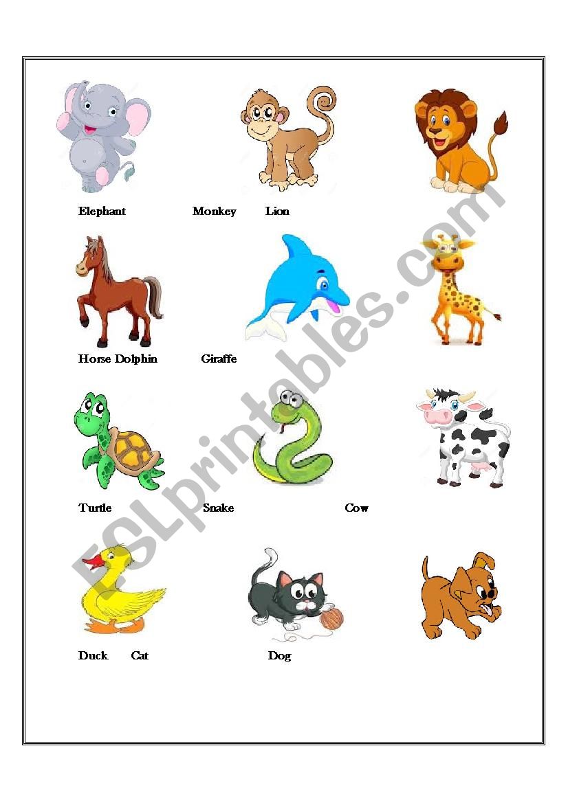 Animal Vocabulary worksheet