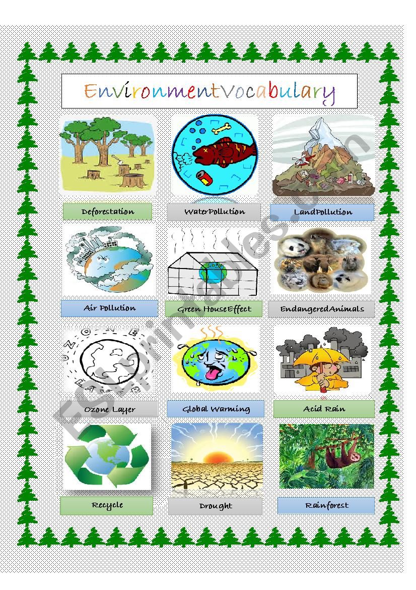 Environment Vocabulary worksheet