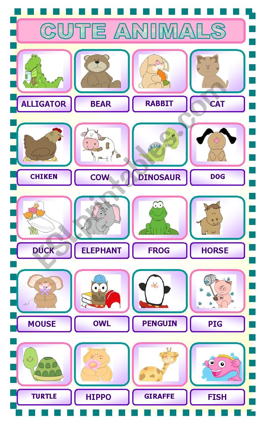 CUTE ANIMALS worksheet