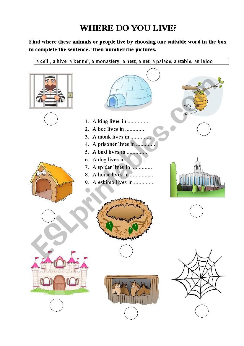 where do you live worksheet