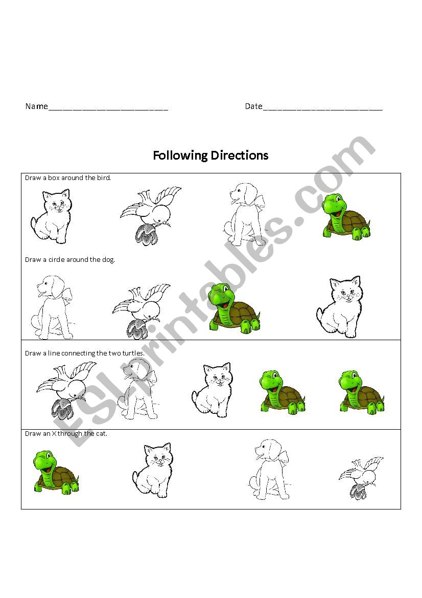 Following Directions worksheet