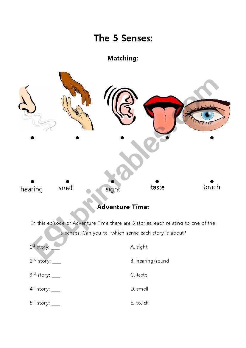 The 5 senses: Adventure Time worksheet