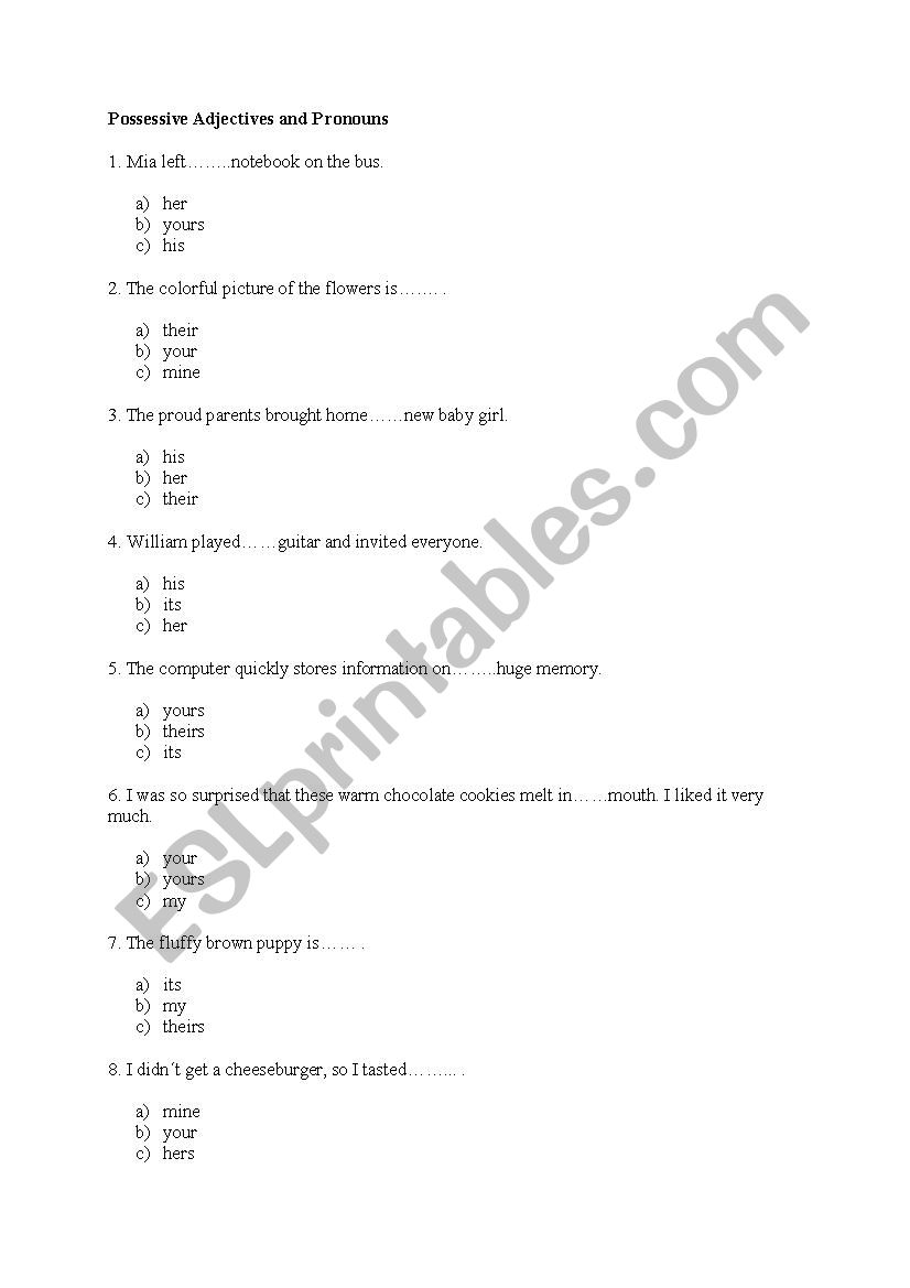 Usage of Possessive Pronouns and Possessive Adjectives 