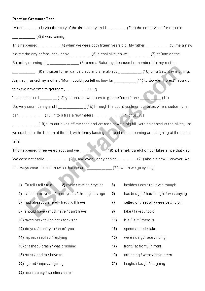 Grammar Practice Test worksheet