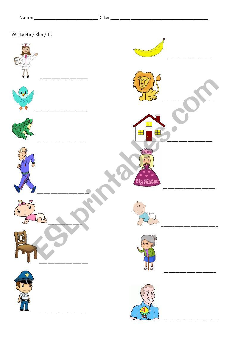 Pronoun He She It worksheet