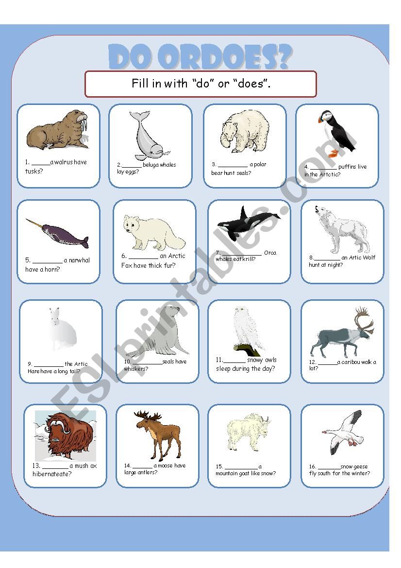 Do or Does Fill in the Blank worksheet Do or Does Fill in the Blank worksheet