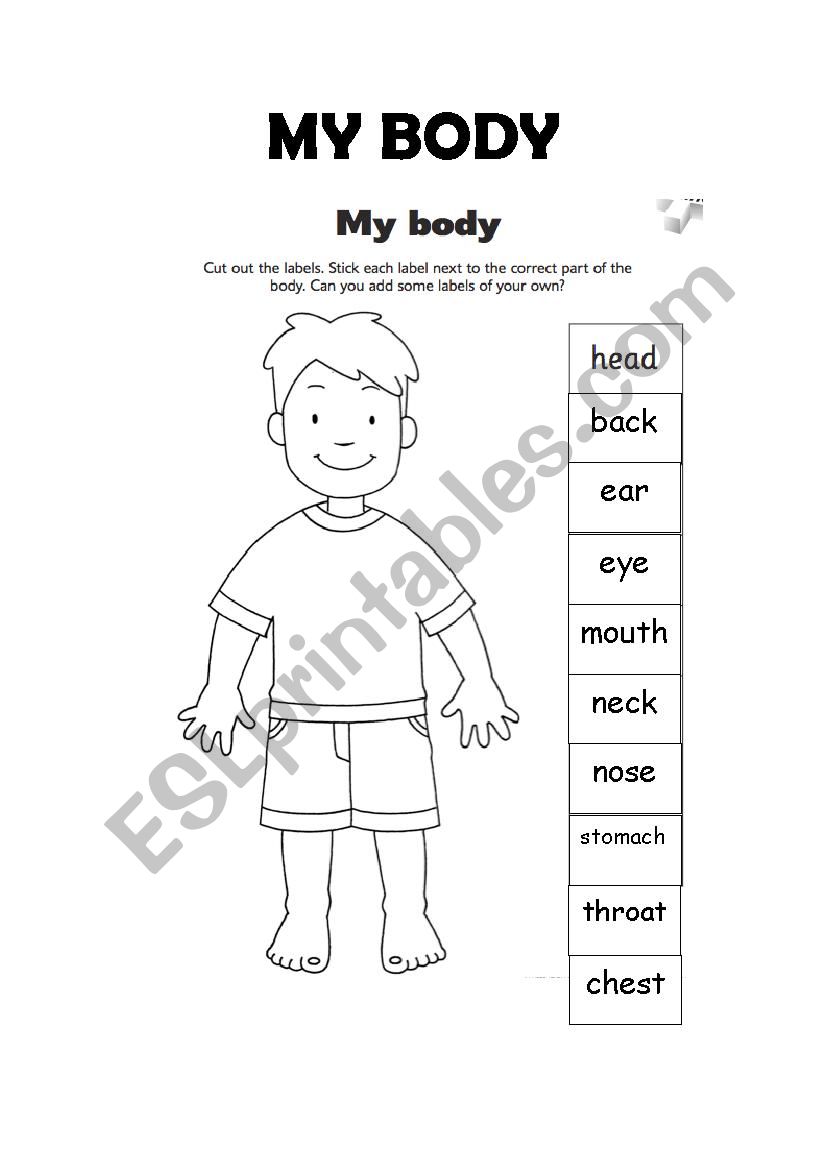 Parts of the body worksheet