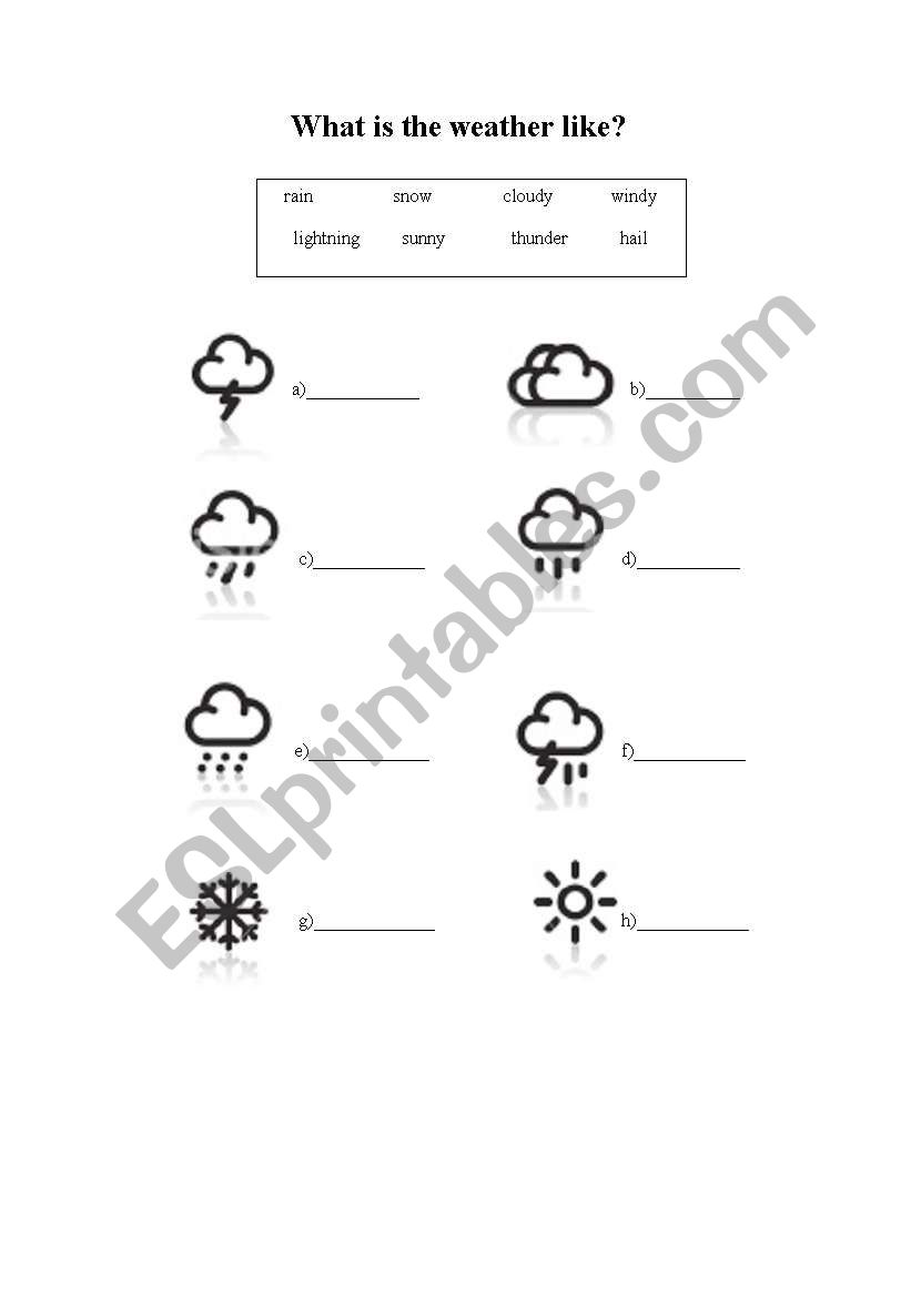 WHAT IS THE WEATHER LIKE? worksheet
