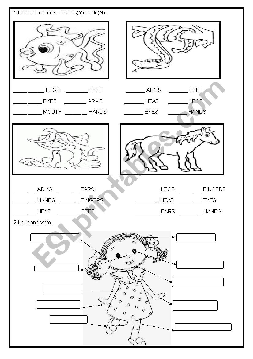 Parts of the body worksheet