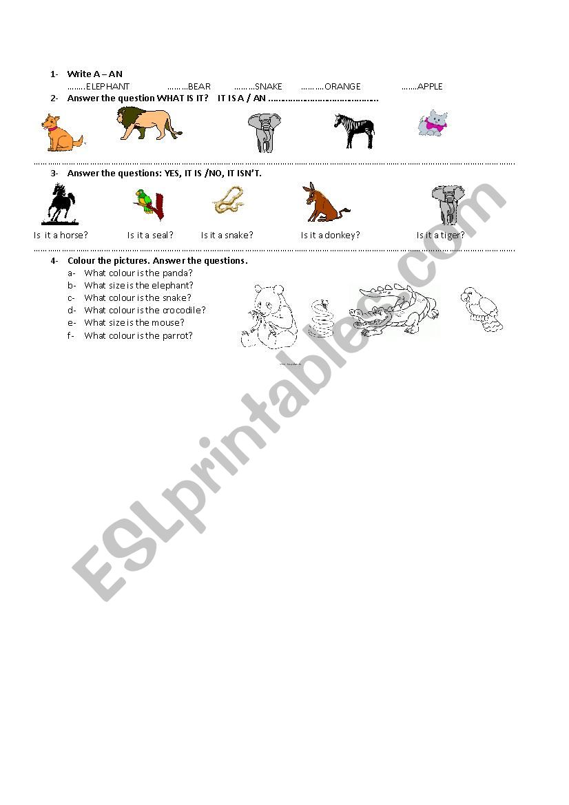Animals worksheet