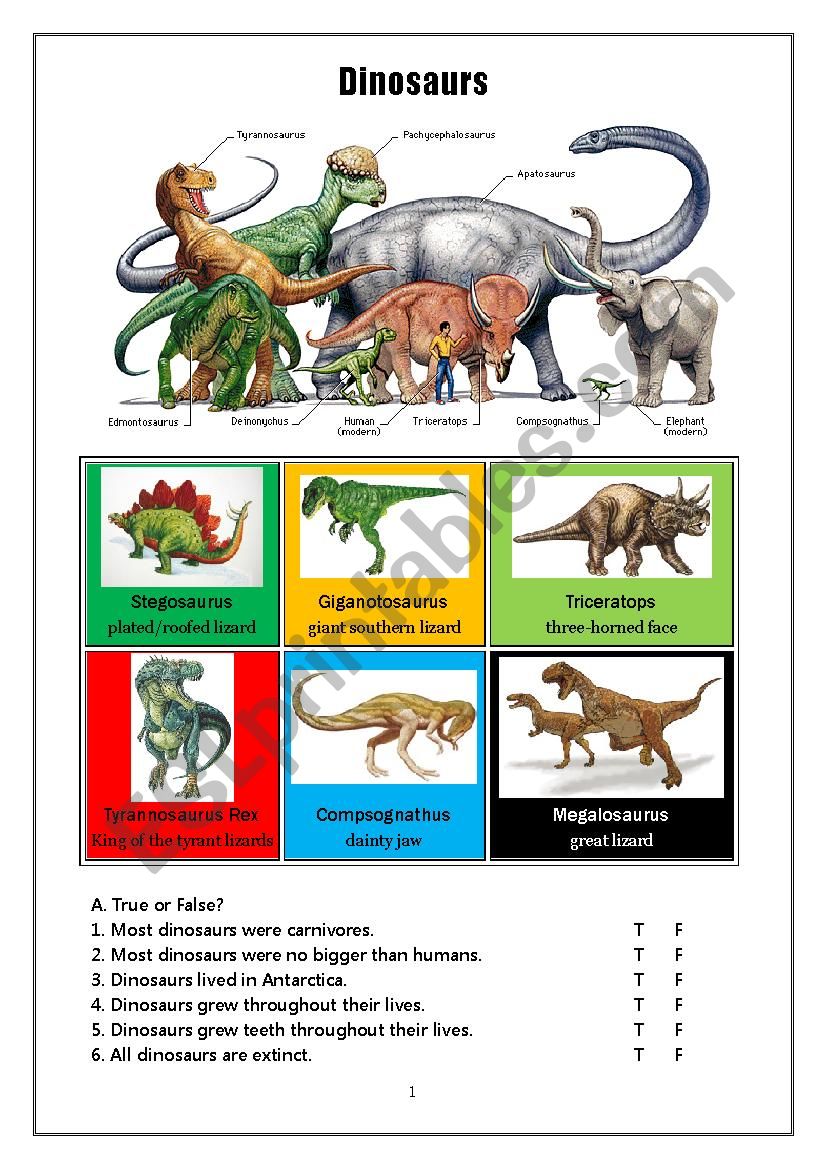 Dinosaurs worksheet