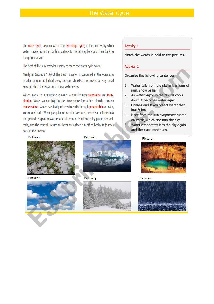 The water cycle worksheet