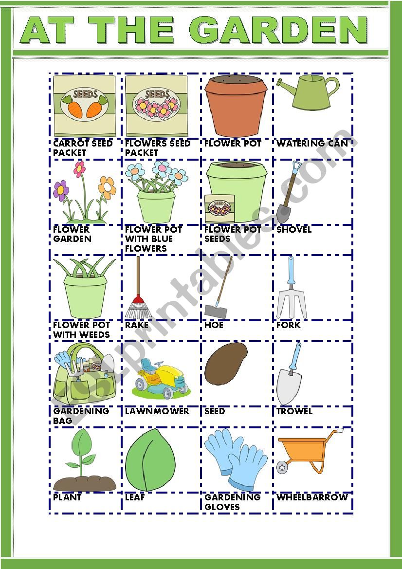 AT THE GARDEN worksheet