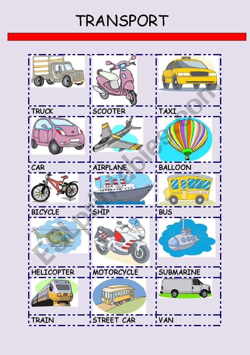 TRANSPORT worksheet