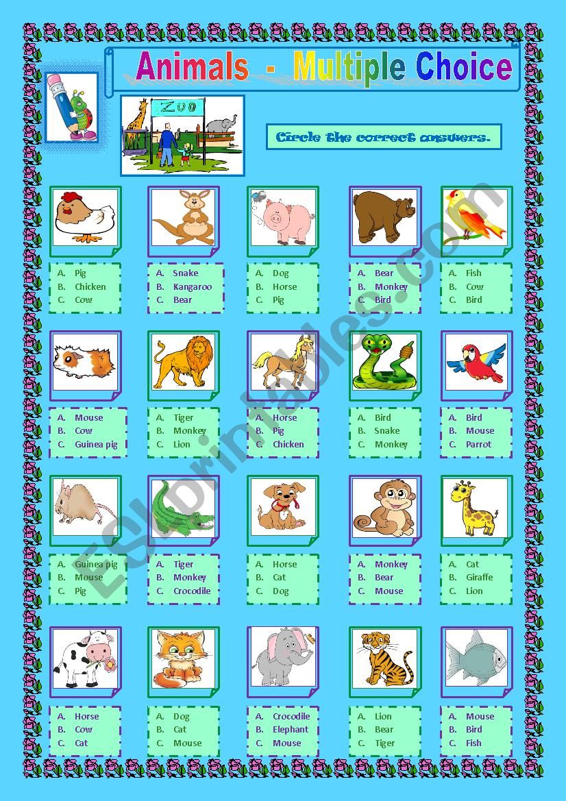 Animals  -  Multiple Choice worksheet