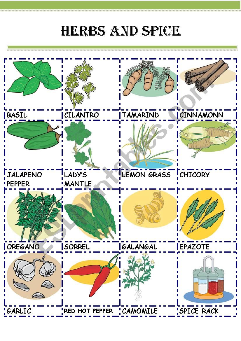 HERBS AND SPICE worksheet