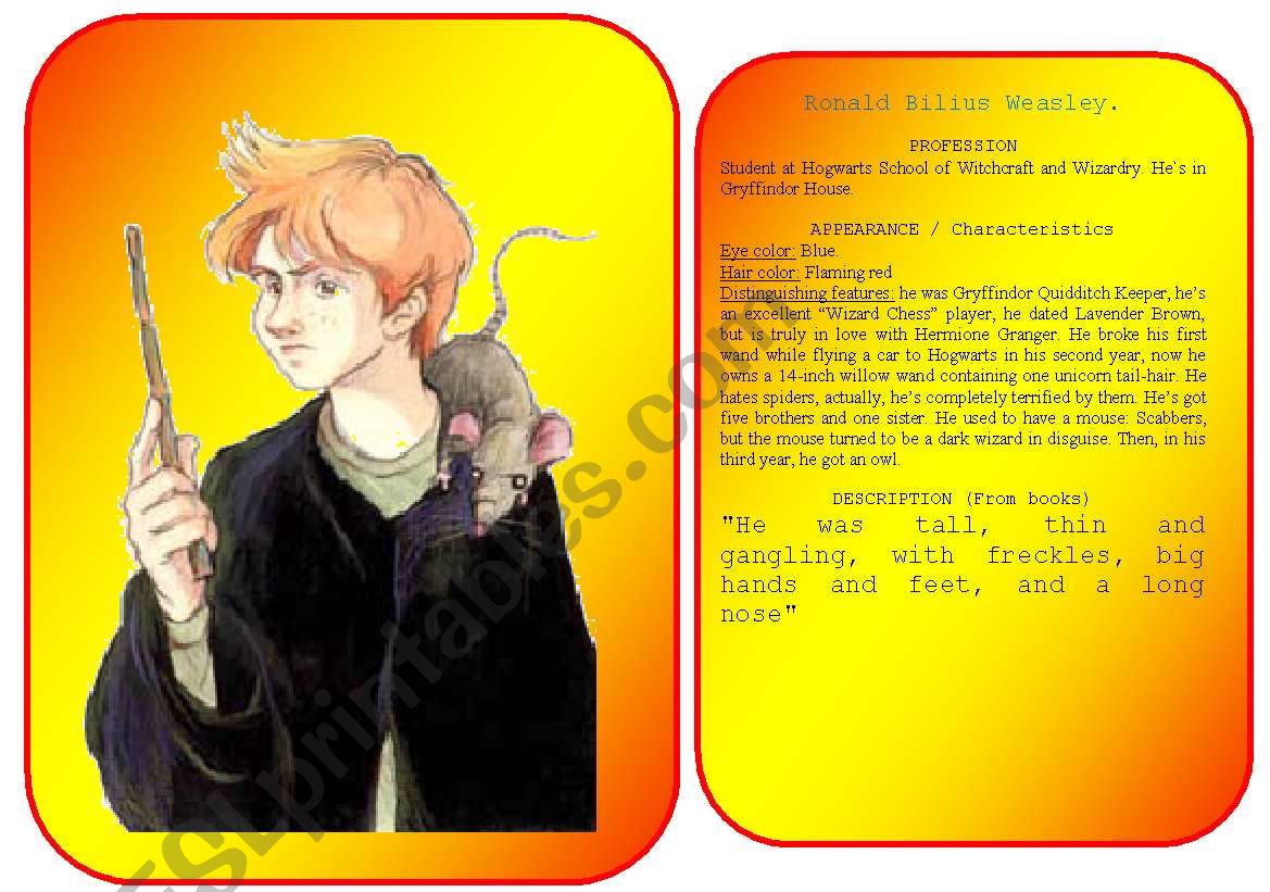 Harry Potters characters flashcards (pictures and profiles) - part 4 / 5