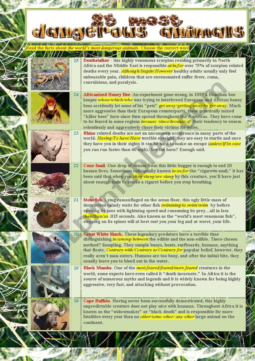 25 of the Most Dangerous Animals In The World - ESL worksheet by Gi2gi
