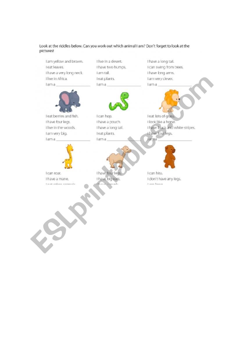 animals worksheet