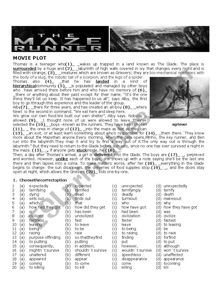 The Maze Runner  worksheet