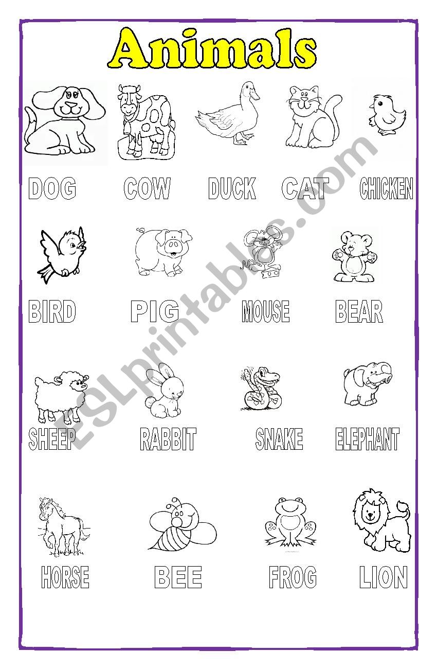 Animal poster worksheet