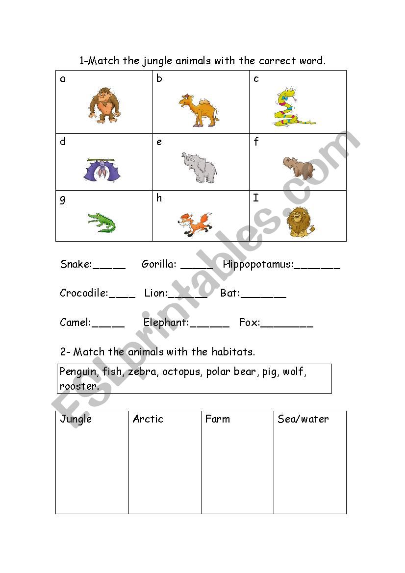 animals worksheet