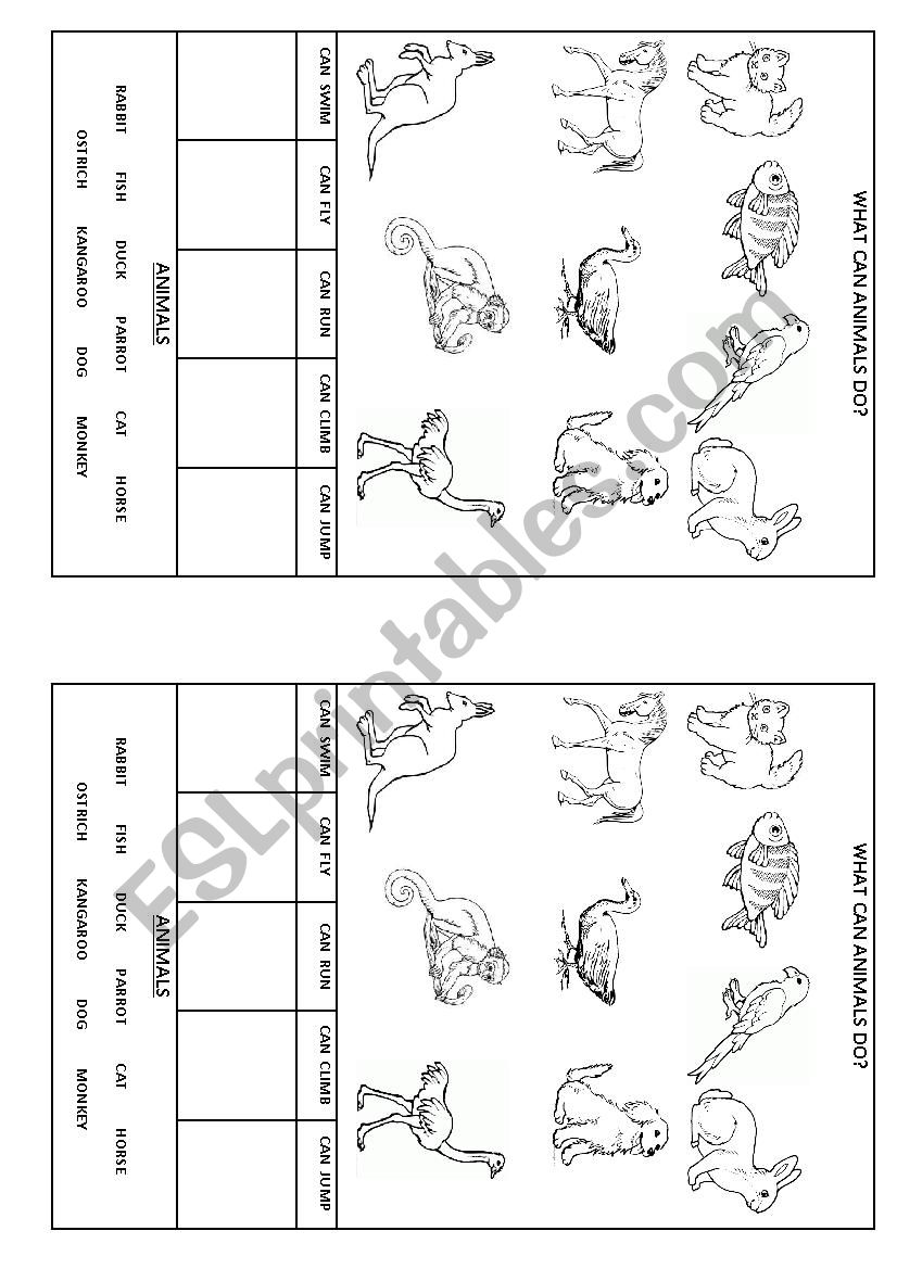 WHAT CAN ANIMALS DO? worksheet