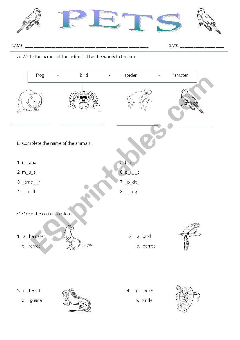 PETS worksheet