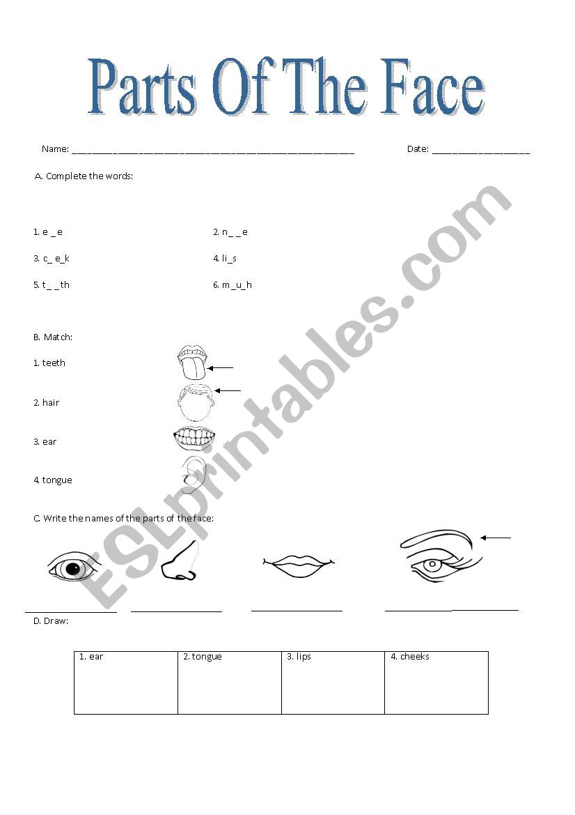 PARTS OF THE FACE worksheet