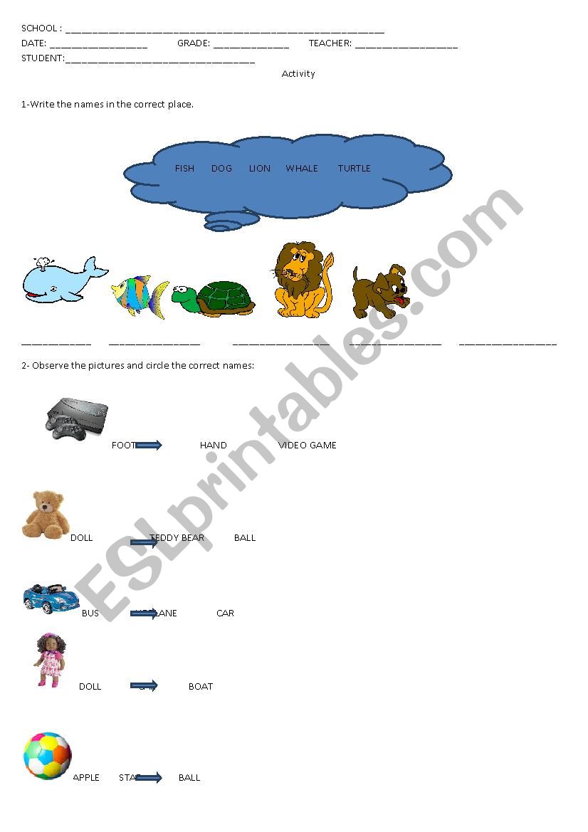 Activity - Elementary worksheet