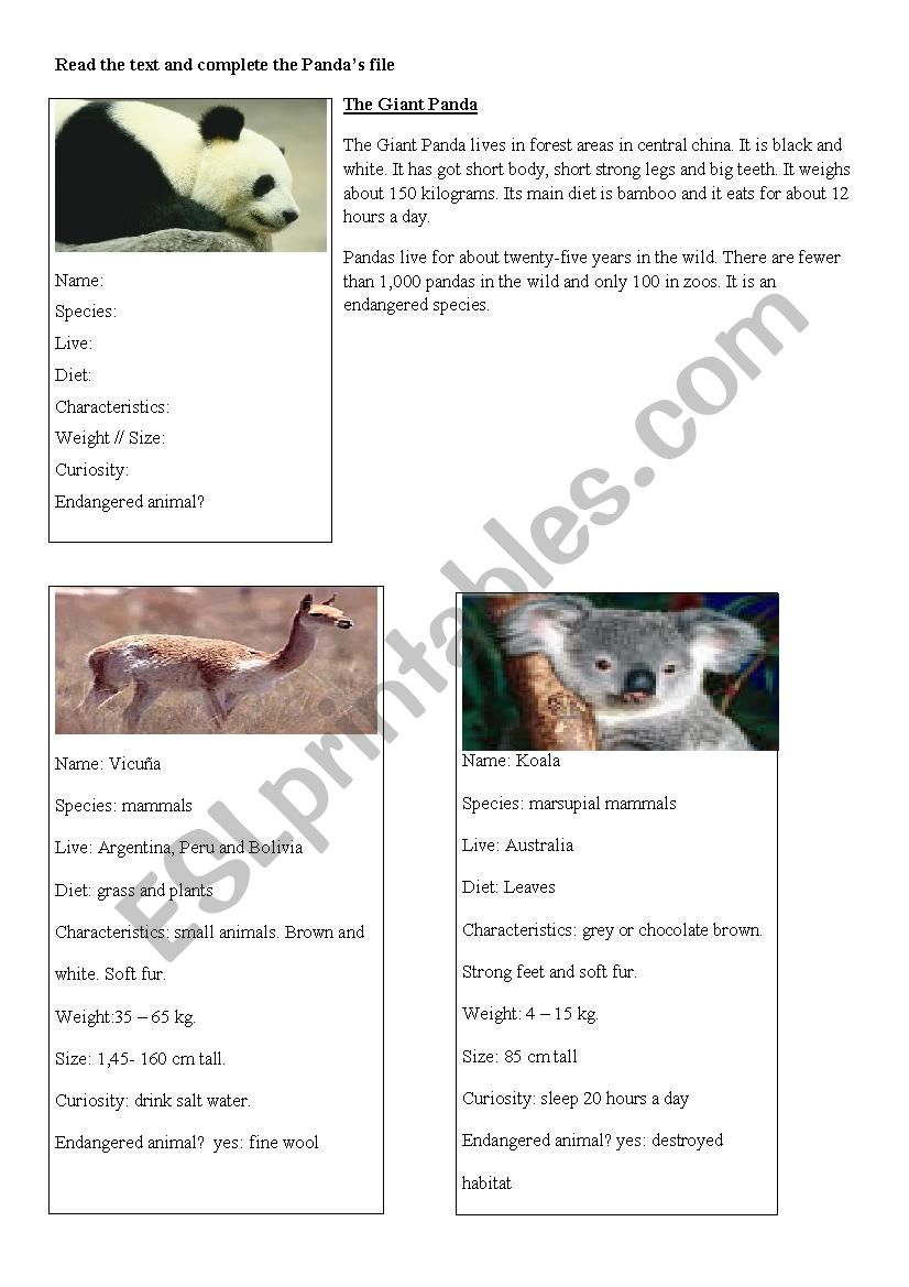 The Giant Panda worksheet