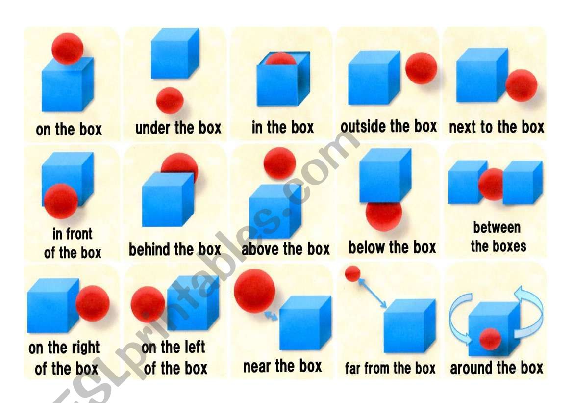 preposition flash cards worksheet