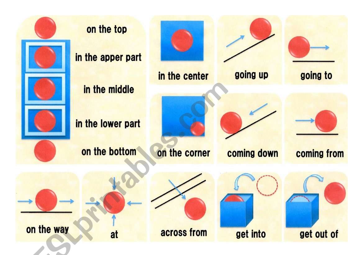 preposition flash card 2 worksheet