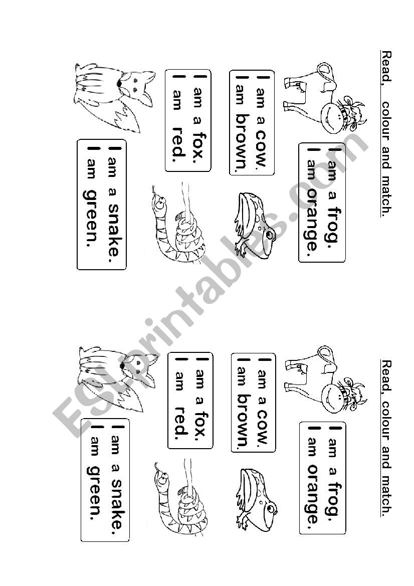 Read , colour and match worksheet