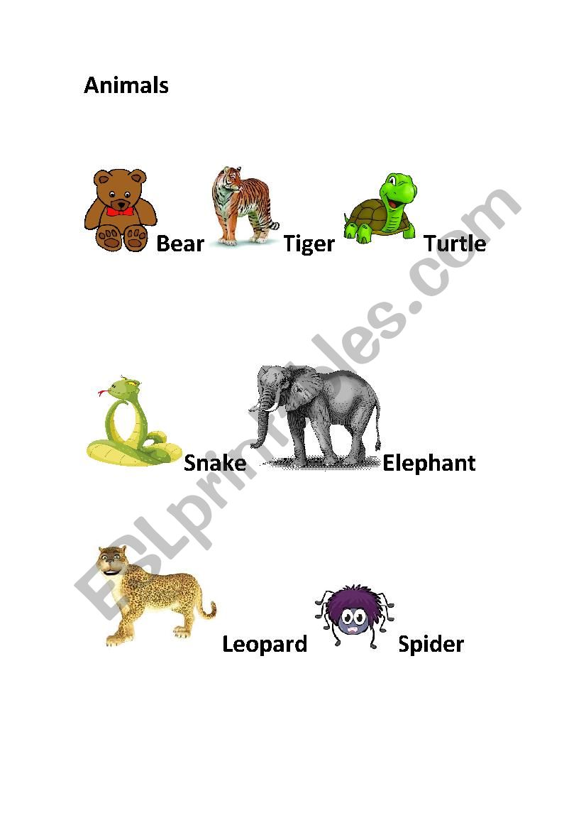 animals worksheet