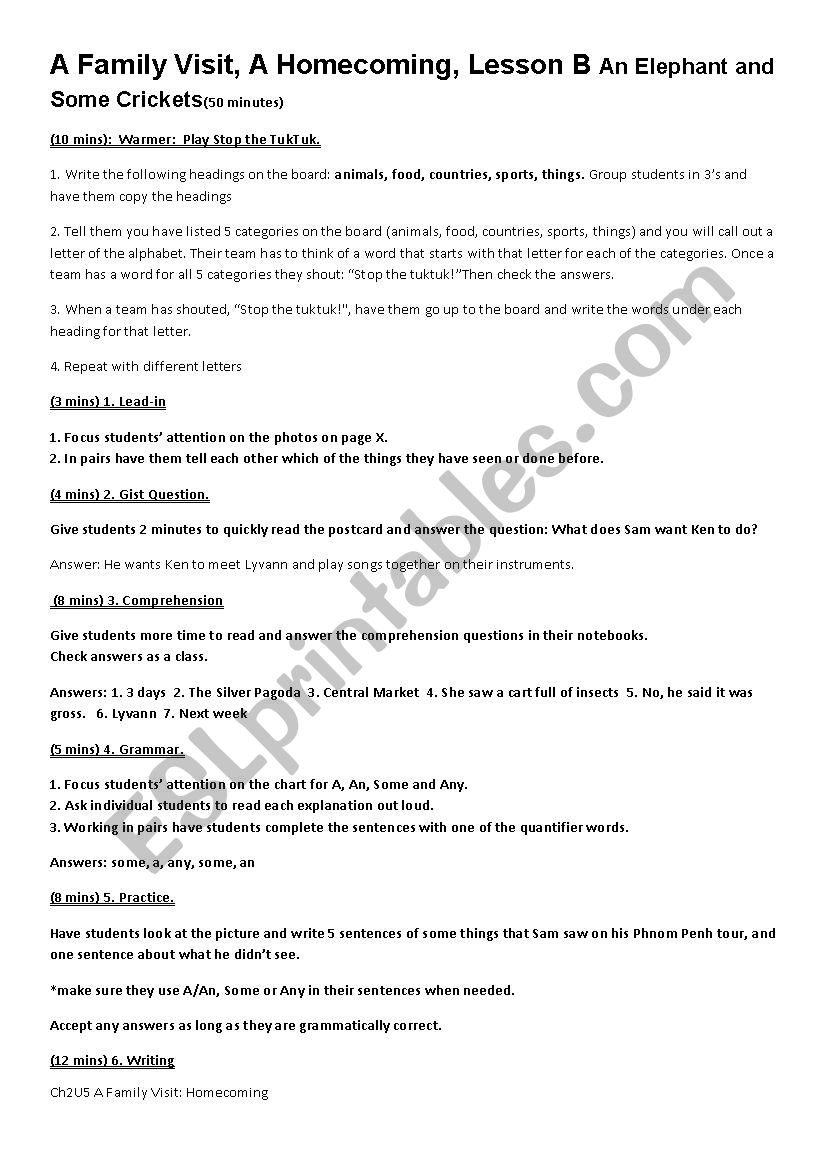 Plural Nouns Lesson B worksheet