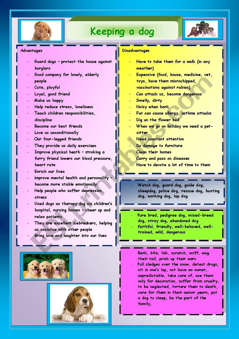 Keeping a dog worksheet