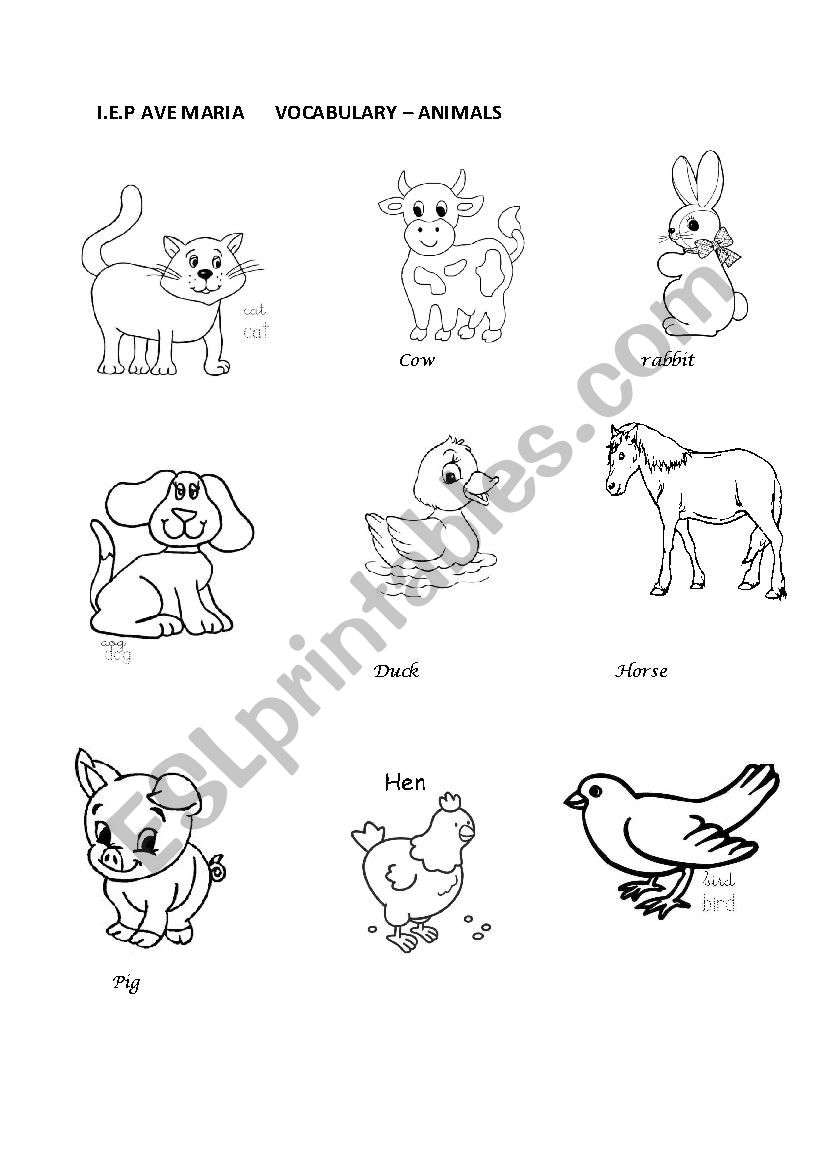 Animal  worksheet