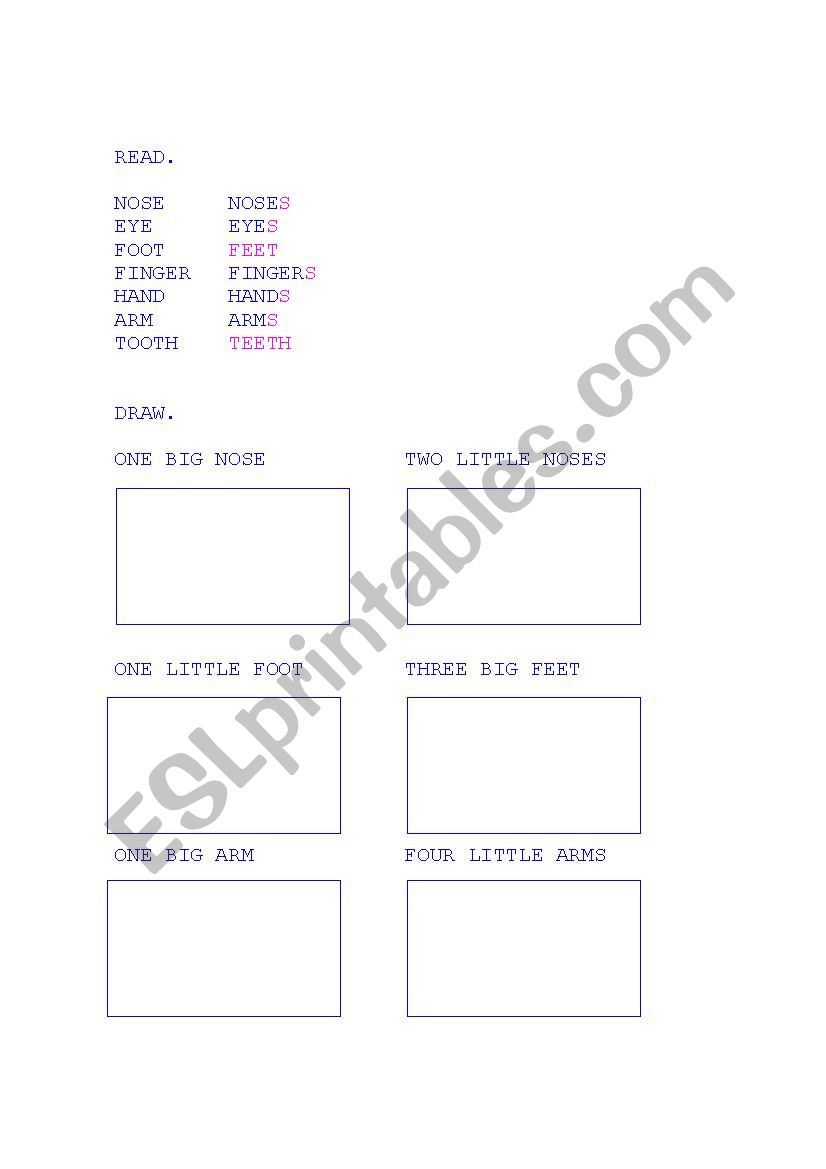 Body parts worksheet