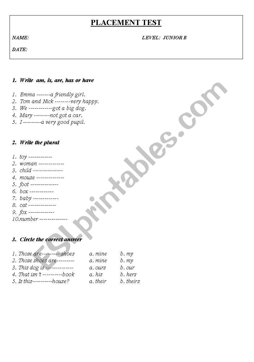 placement test junior worksheet