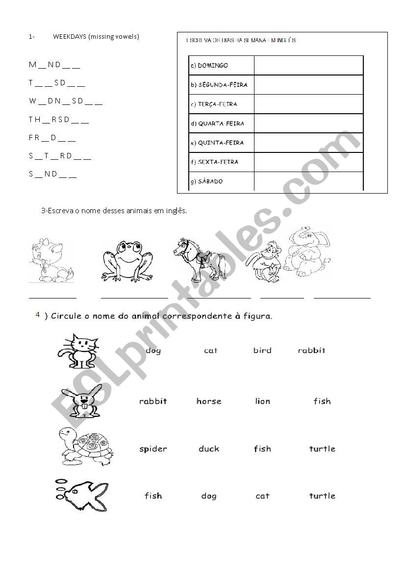 test worksheet