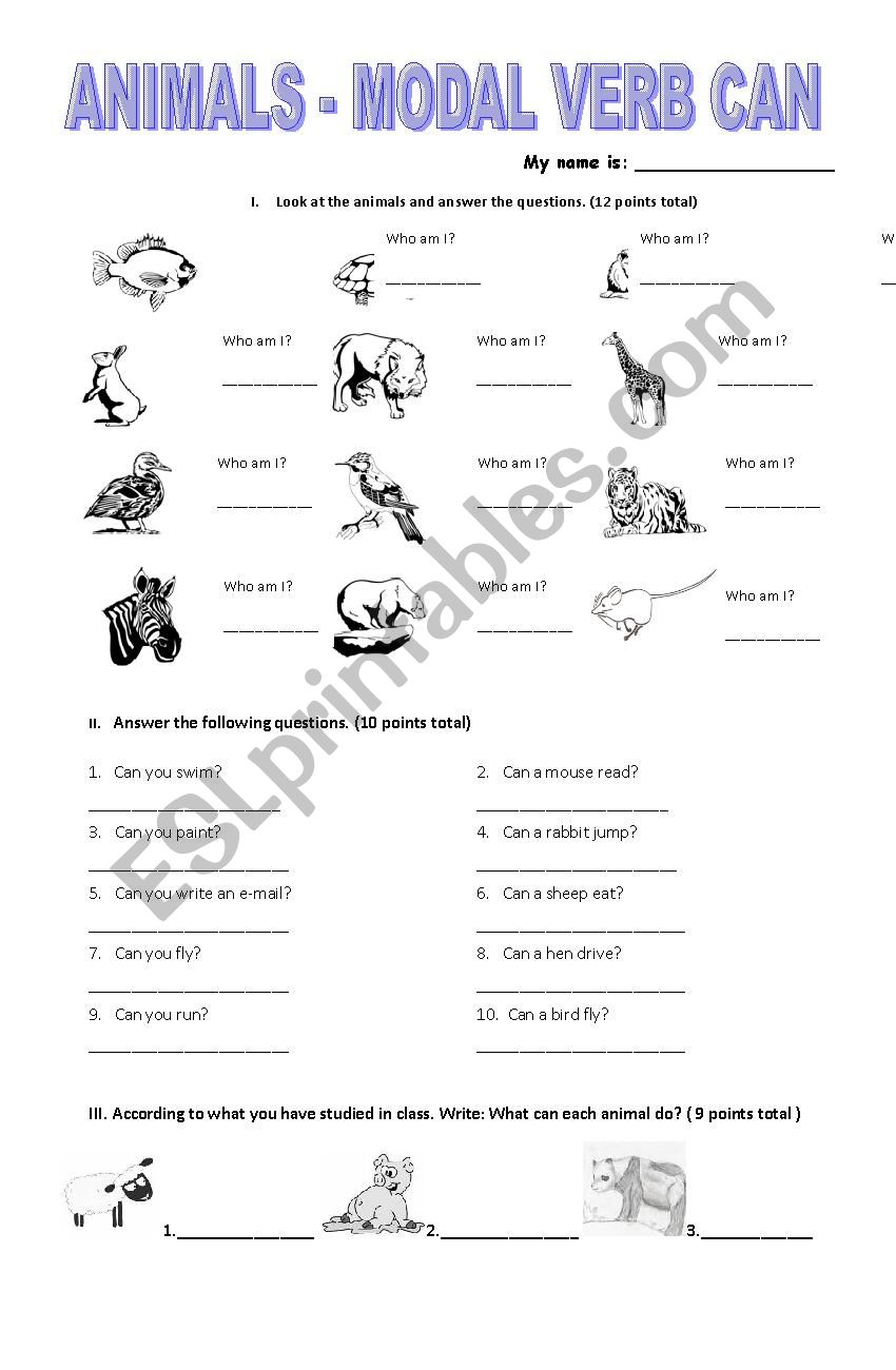 animals and modal can worksheet