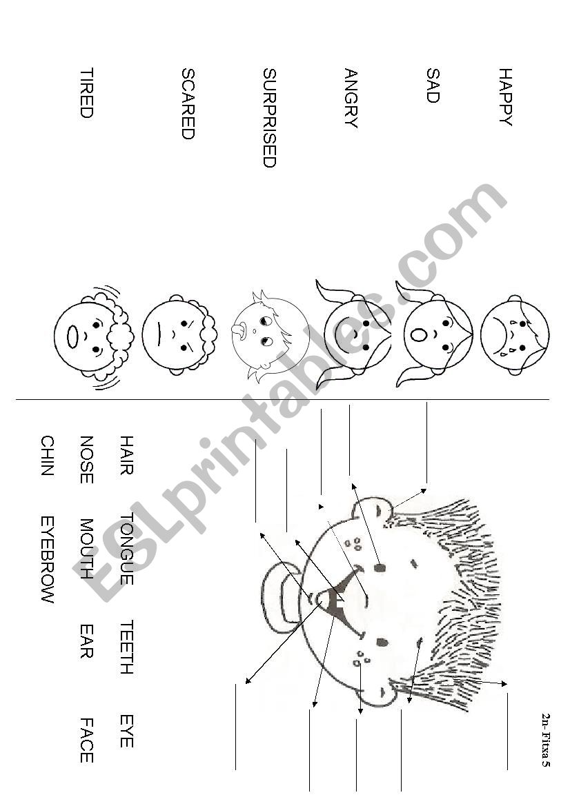 My face and feelings worksheet