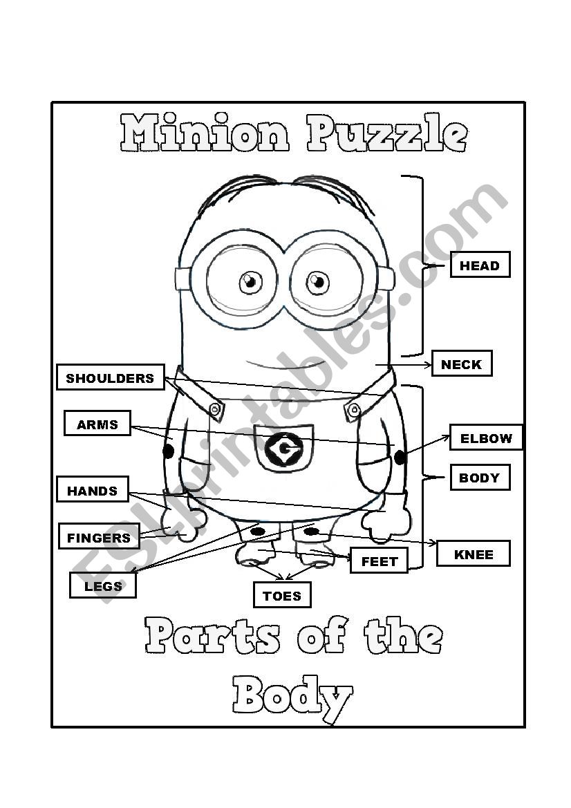 Parts of the body worksheet