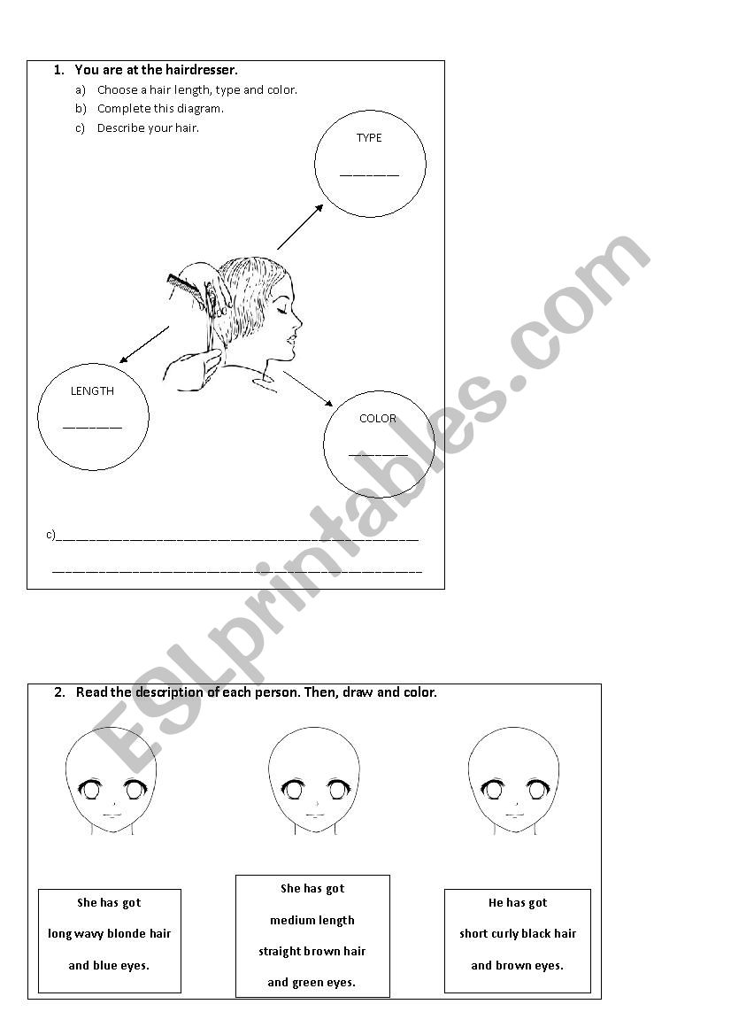 Describing peoples hair worksheet