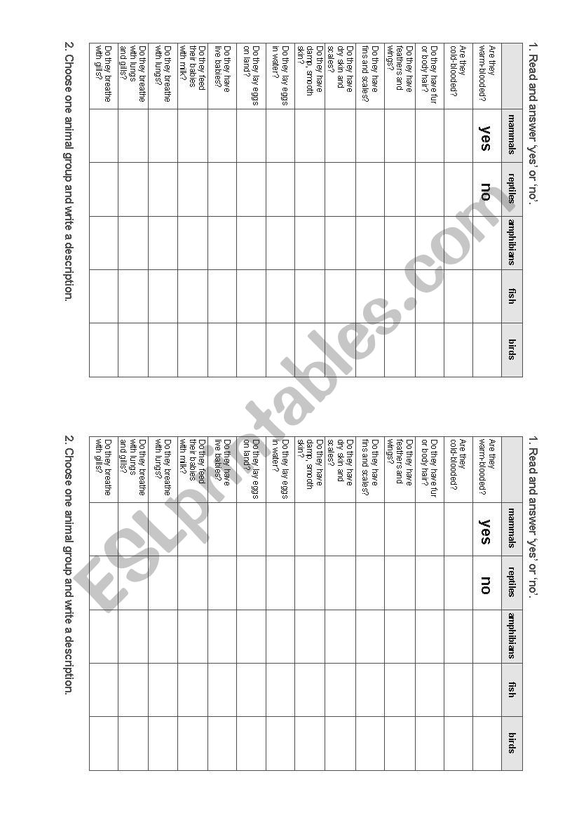 Animals characteristics worksheet