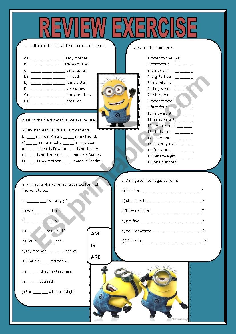 REVIEW EXERCISE worksheet