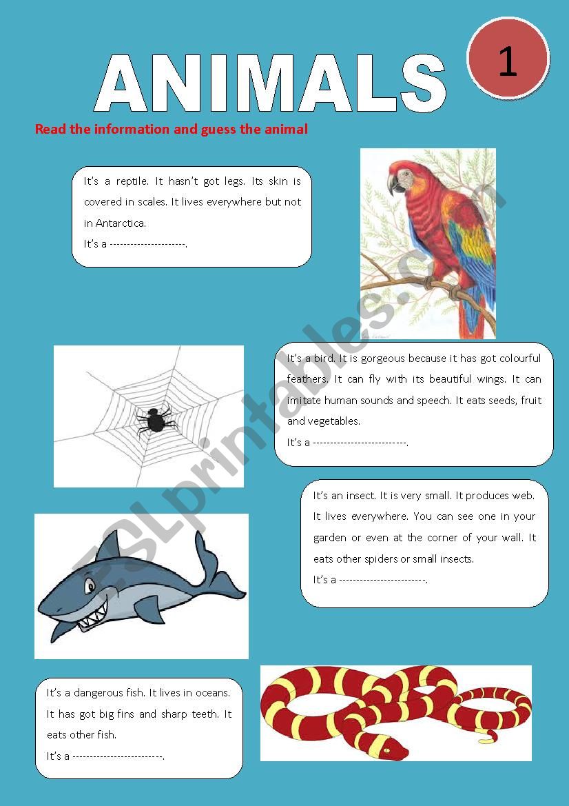 ANIMALS worksheet